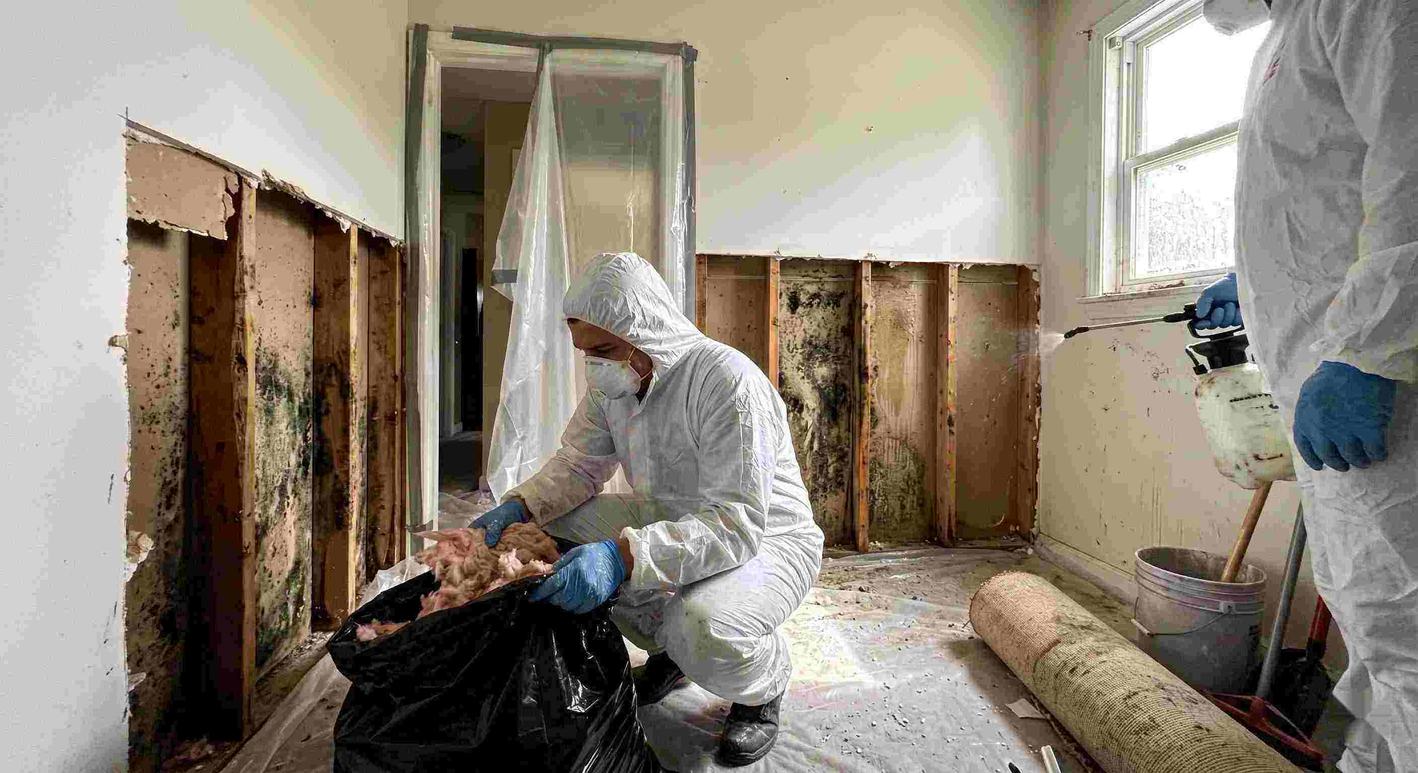 Best mold remediation services removing mold behind wall in home in Flint